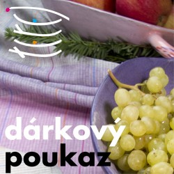 copy of