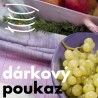 copy of
