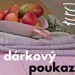 copy of