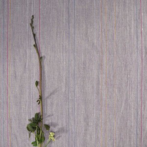 copy of