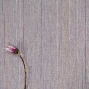 copy of