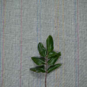 copy of